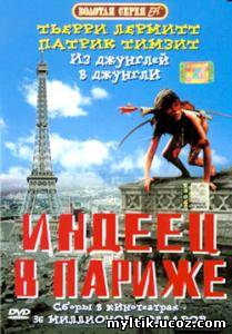 Индеец в Париже / Un indien dans la ville (1994) DVDRip